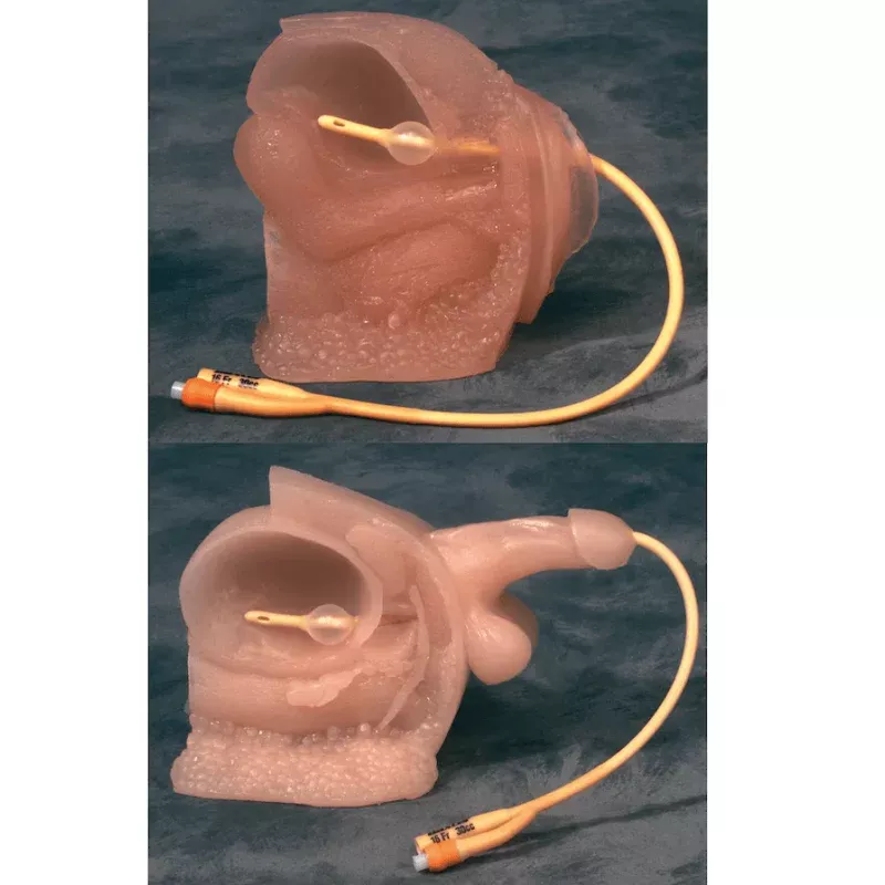 Catheter Model Set