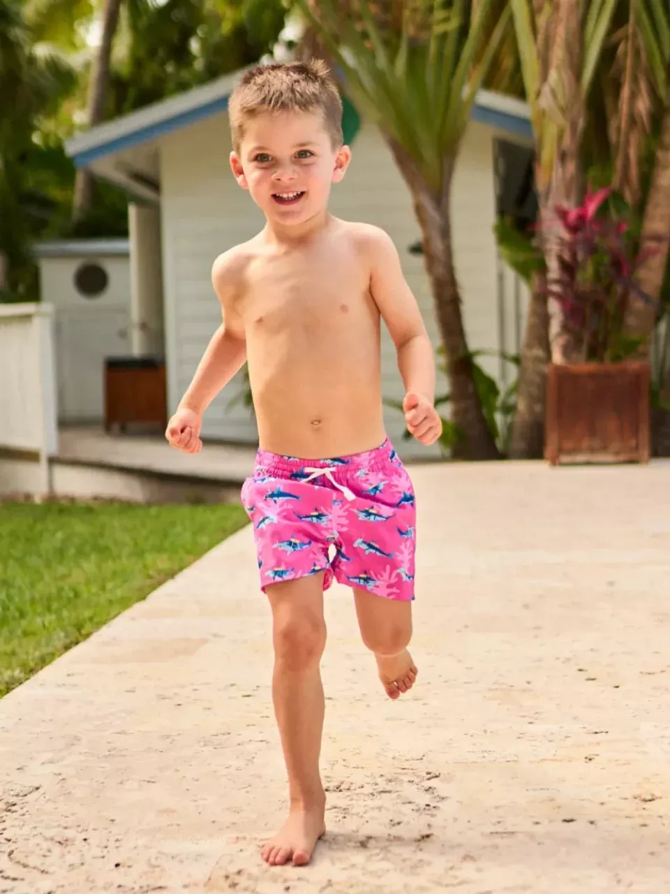 Chubbies Toddler Classic Swim Trunk - The Lil Great Pink Shark