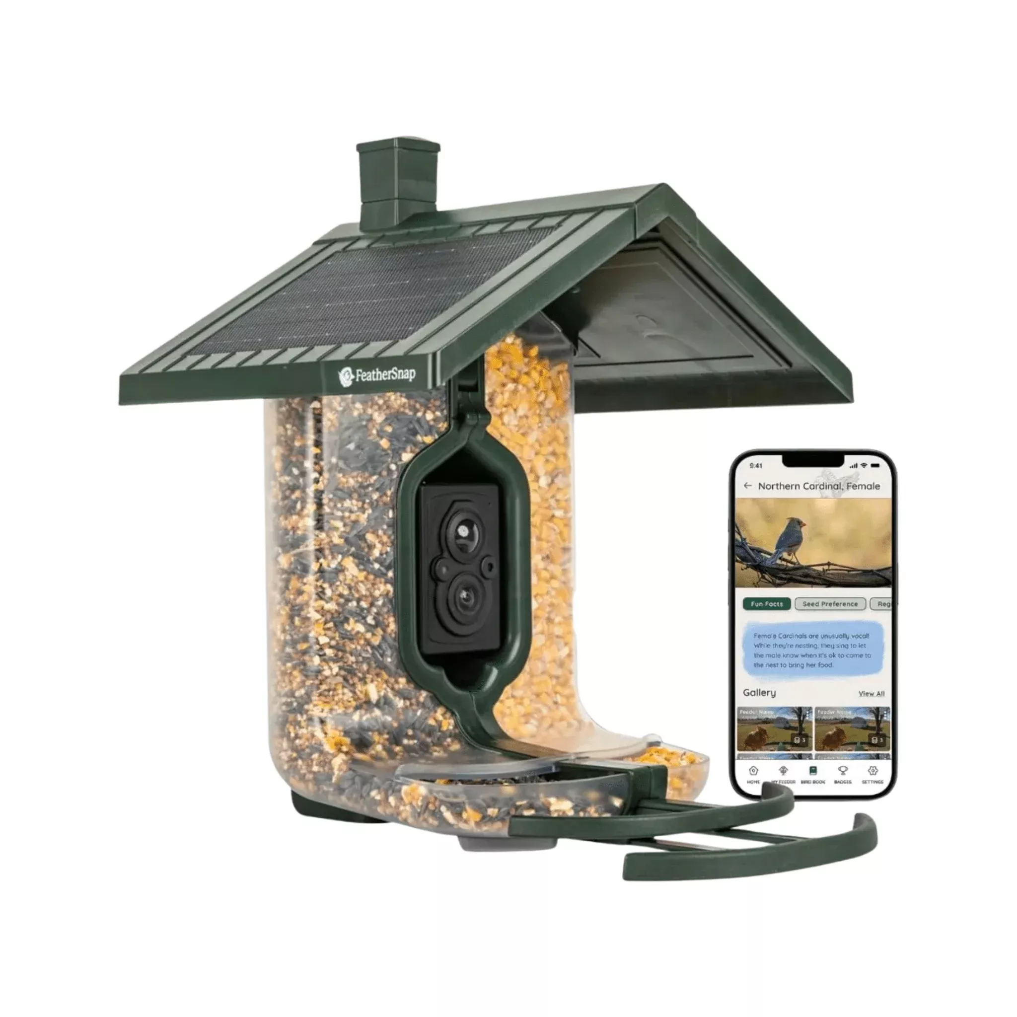 FeatherSnap Scout WiFi Solar Powered Smart Bird Feeder – Green