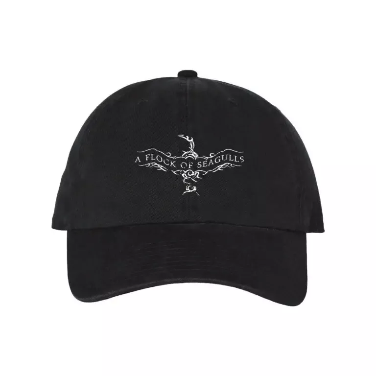 A Flock of Seagulls LOGO Hat
