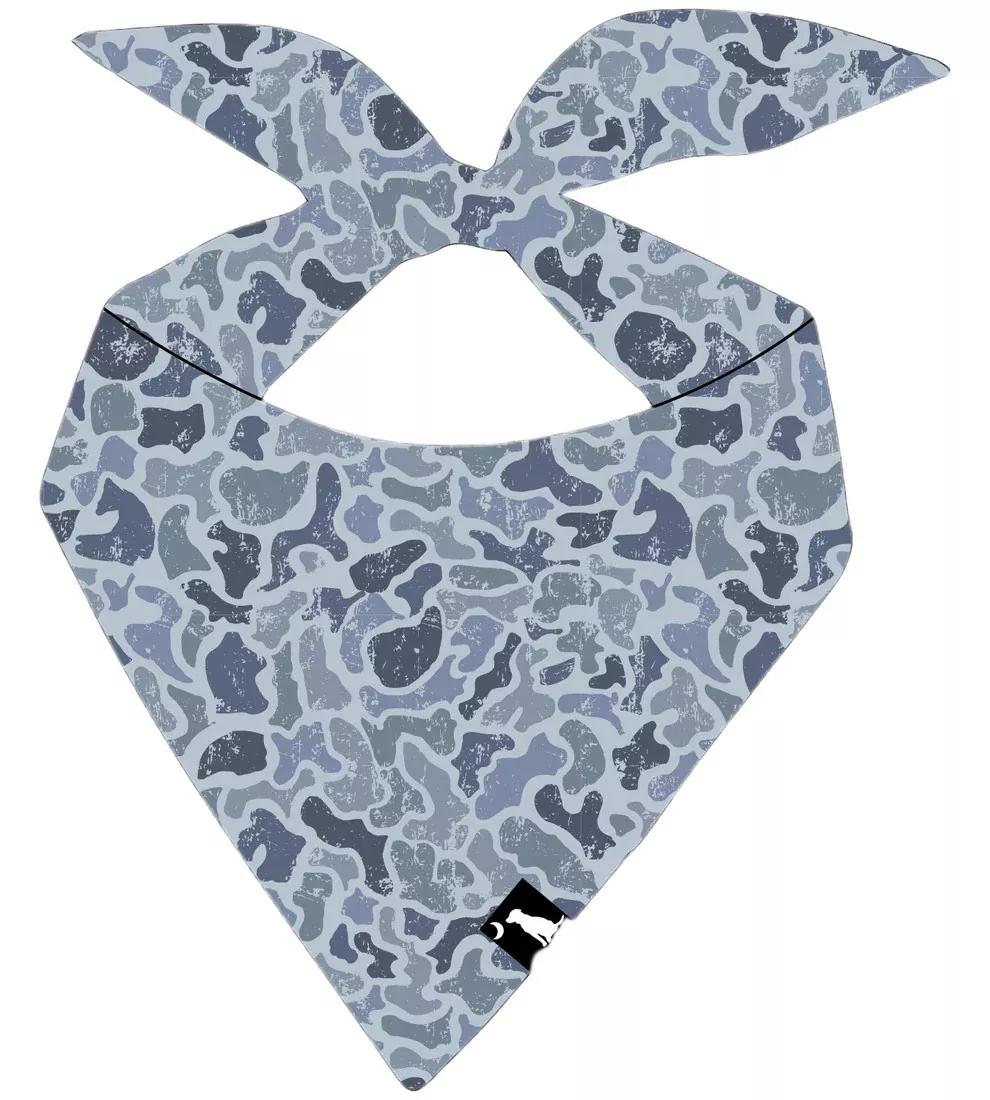 Local Boy Dog Bandana – Distressed LCF Cobalt