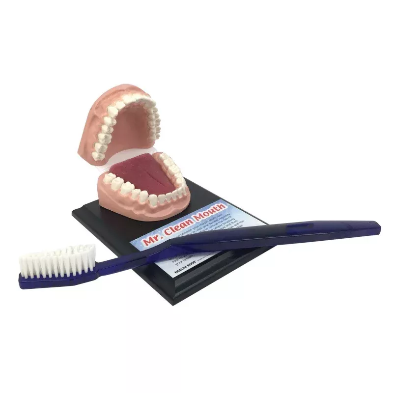 Mr Clean Mouth with Giant Toothbrush