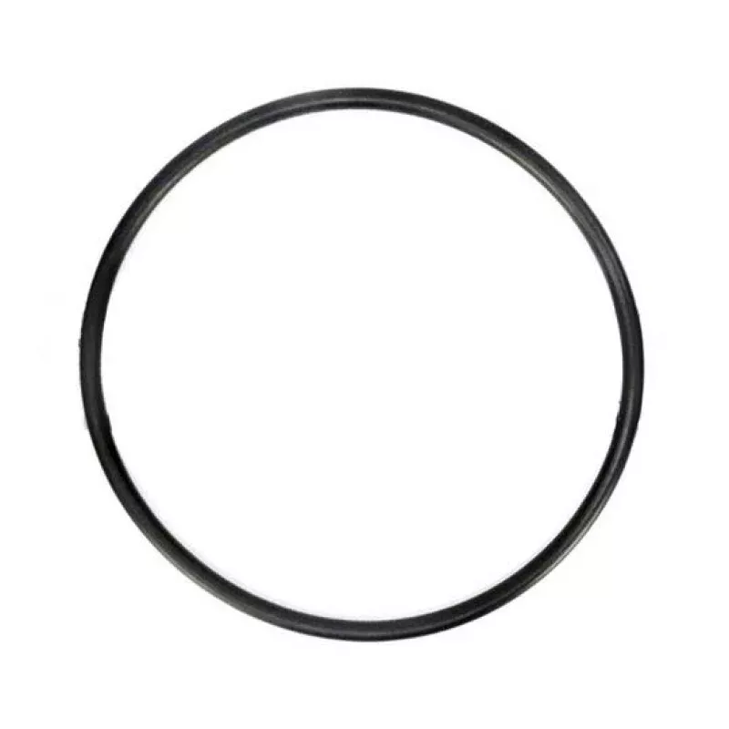 Pentair – 219001Z Lid O-Ring for LeafVac