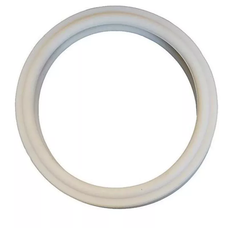 Pentair – Gasket, Lens