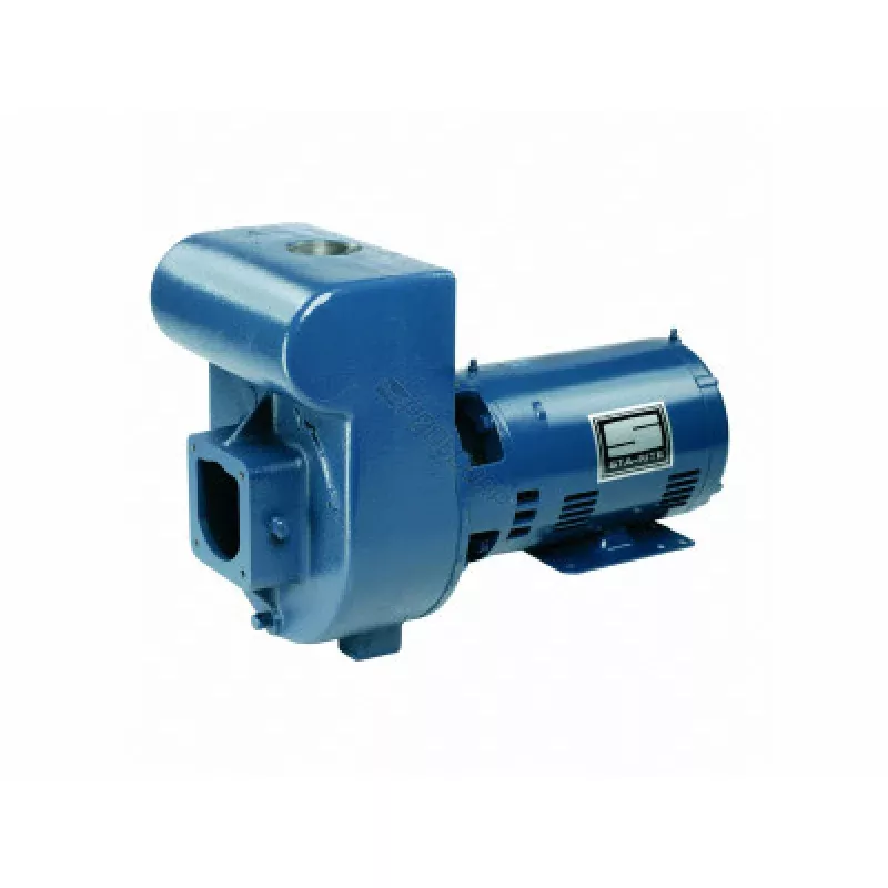 Sta-Rite D-Series 5HP Standard Efficiency Single Phase Commercial Pool Pump 230V, DMJ-172