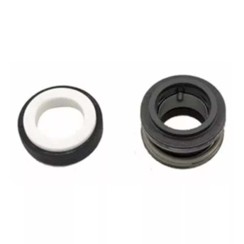 Super-Pro Mechnical Seal, 100