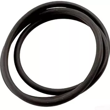 Zodiac Tank Top O-Ring For CS100/150/200/250 Filters – R0462700